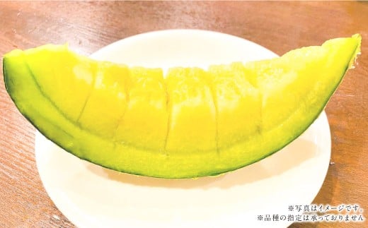 『まるで果物の王様！贅沢メロン』 2玉セット 1箱 熊本県産 【2026年1月下旬発送開始】フルーツ くだもの 果物 メロン 果実 果肉 おやつ 国産