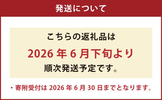 くまモン柄のメロン 1玉 【2026年6月下旬発送開始】 くだもの 果物 フルーツ めろん 肥後グリーンメロン くまもん くまモン