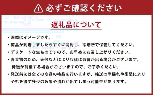 【年3回定期便】 くまもと の すいか 食べ比べ 定期便 合計4玉 スイカ 西瓜 果物 くだもの フルーツ 【2026年4月上旬発送開始】