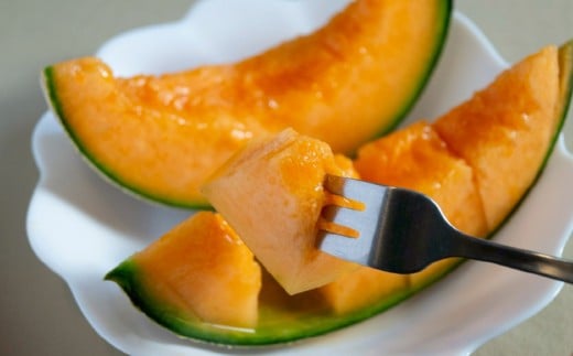 赤玉レノンスター 1玉・アンデスメロン1玉【2026年5月下旬発送開始】 メロン フルーツ くだもの 果物 熊本県産 国産