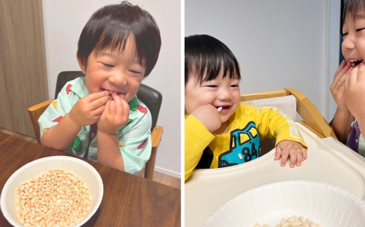 おこめのおやつ 10袋セット おこめ 米 コメ お米 おかし おやつ お菓子 お砂糖不使用 無添加 国産 熊本県産