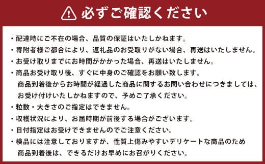 【2024年2月発送開始】熊本県産 ネーブルオレンジ 約5kg オレンジ 果物