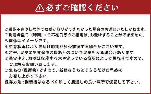 【年4回定期便】 デコポン約5kg（15～20玉入り）×4回 （計約20kg） 【2026年12月上旬発送開始】 でこぽん 果物 くだもの フルーツ 果実 果汁 定期便 年4回 贈り物 熊本県 熊本県産