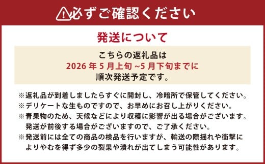 熊本県産 アールスメロン 1玉 1.6kg以上 【2026年5月上旬発送開始】 グリーンメロン メロン フルーツ 果物 くだもの 国産