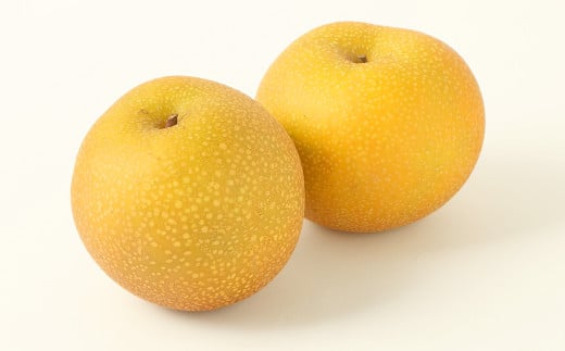 くまもと梨 約3kg （4玉～9玉） 【2025年8月上旬発送開始】 フルーツ くだもの 果物 なし ナシ 梨 熊本県産 国産