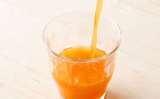 おいしい野菜と果実 200ml×12本 合計2400ml 果汁100% 野菜 果実 フルーツ ジュース フルーツジュース 常温 飲料 熊本県 らくのうマザーズ