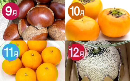 【12か月連続定期便】熊本の旬のフルーツお届け便 （Bコース） フルーツ 果物 くだもの 晩白柚 苺 デコポン みかん 柑橘 蜜柑 メロン すいか シャインマスカット 葡萄 ぶどう マンゴー 太秋柿 柿 定期便