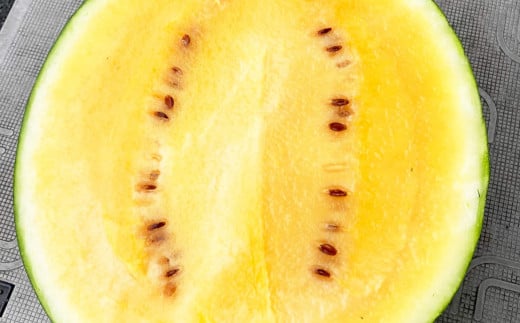 熊本県産 金色羅皇 ( 高級 西瓜 ) 約5kg 1玉 スイカ すいか フルーツ くだもの 果物 熊本 国産 【2026年5月下旬発送開始】