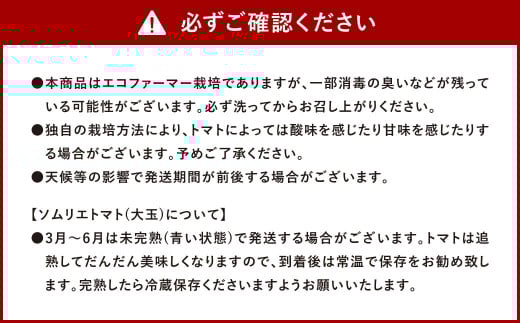 【 食べ比べ 】ソムリエ トマト1.3kg と ソムリエ ミニトマト プラチナ500g とダイヤ 500g の セット 合計 2.3kg 3種 とまと 野菜 やさい 熊本県産 国産 【2026年2月上旬発送開始】