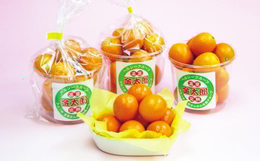 熊本県産 完熟ハウスキンカン約1.5kg