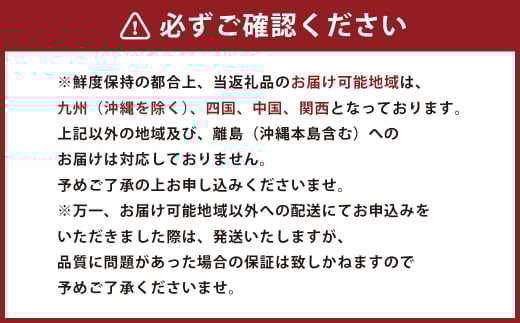 熊本県産 苺 旬の品種 （2種） 約1.5キロ 前後 いちご イチゴ フルーツ 果物 【2026年3月上旬発送開始】