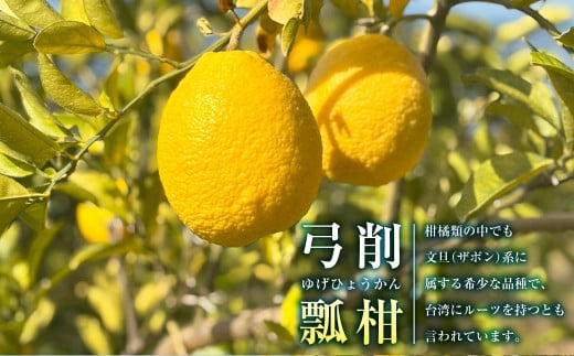 ～幻の柑橘～ 弓削瓢柑（ゆげひょうかん） 約5kg 【2025年4月下旬発送予定】 果物 柑橘 フルーツ 果実 九州 熊本