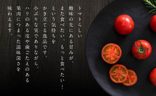 蘇鉄嶋 （ 桃太郎トマト ） 約1kg とまと トマト やさい 野菜 国産 【2026年5月上旬発送開始】
