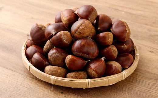 熊本県産 和栗 3kg 【2025年9月上旬発送開始】クリ くり 栗 フルーツ くだもの 果物 国産