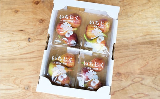 ハウスイチジク 約4kg （約250g×16パック）【2026年6月上旬発送開始】 果物 フルーツ いちじく イチジク 旬 旬の果物 旬のフルーツ 熊本県 合同会社宝ファーム