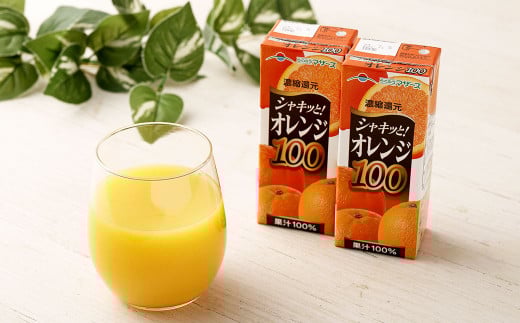 【6か月連続定期便】オレンジ100 200ml×12本×6回 合計72本 合計14.4L 厳選 みかん 果汁 100% 濃縮還元 ミカン オレンジ ジュース みかんジュース 常温 飲料 熊本県 らくのうマザーズ