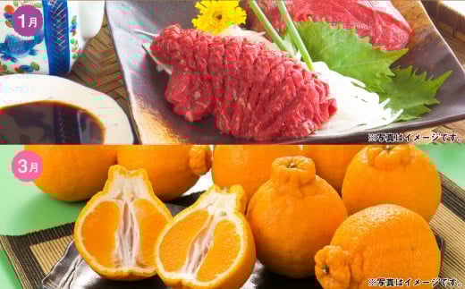 【6か月隔月定期便】熊本便り！熊本の名品堪能定期便 ｜ 馬刺し 馬肉 フルーツ 果物 くだもの デコポン みかん すいか 梨 あか牛 米 お米 特産品 お取り寄せ