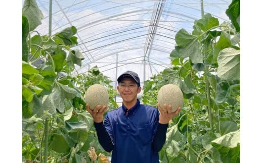 くまモン柄のメロン 1玉 【2025年6月下旬発送開始】 くだもの 果物 フルーツ めろん 肥後グリーンメロン くまもん くまモン