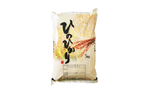 【 4か月連続定期便 】 【 令和7年度産 】 熊本県産のお米 5kg×4回 銘柄違い 計20kg 国産 熊本県産 お米 米 コメ ご飯 白米 ヒノヒカリ くまさんの輝き 塩栽培米 塩栽培 【 2025年12月上旬発送開始 】
