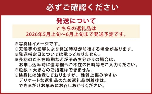 まるで果物の王様！アールスメロン1玉（熊本県産）【2026年5月上旬発送開始】 アールスメロン メロン 1玉 フルーツ 果物 くだもの 国産 熊本県産