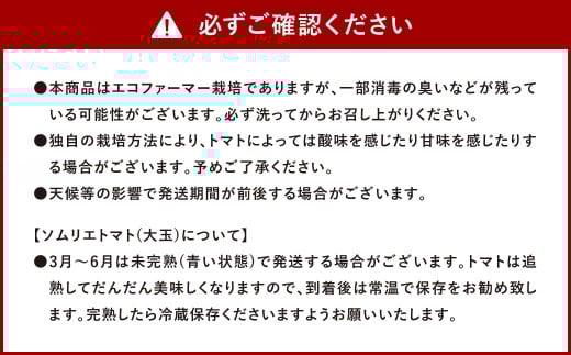 【 食べ比べ 】ソムリエ トマト 1.3kg と ソムリエ ミニトマト プラチナ 1kg の セット 合計2.3kg 2種 とまと 野菜 やさい 熊本県産 国産 【2026年2月上旬発送開始】