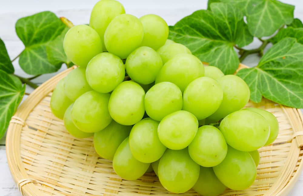 【年6回定期便】熊本県産フルーツA(奇数月発送)	