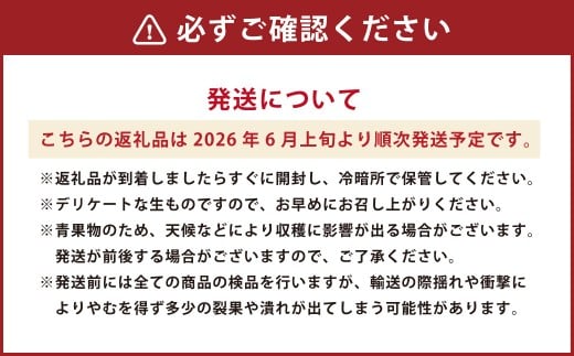 熊本県産 小玉すいか 2玉 合計3kg以上 【2026年6月上旬発送開始】 すいか スイカ 西瓜 くだもの 果物 フルーツ 国産