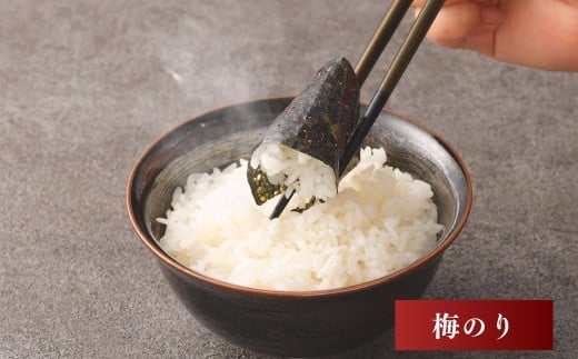 有明海 熊本産 極上とろける一番摘み 梅のり 金袋 1袋（40枚入）×3袋 計120枚 海藻 海苔 のり ノリ あじのり 梅 うめ ウメ