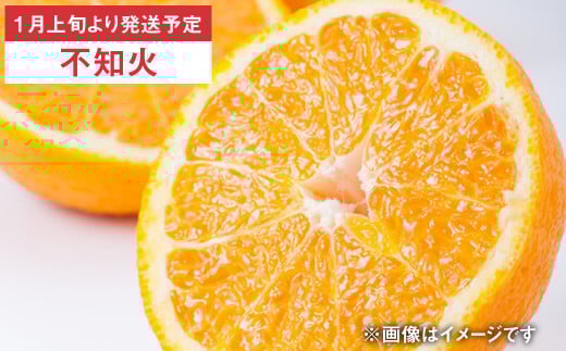 【年6回定期便】くまもとの 柑橘 定期便 不知火 デコポン 温室みかん 一番出荷極早生みかん 完熟温州みかん 果物 フルーツ くだもの みかん 蜜柑