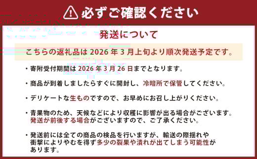 熊本県産 デコポン 3kg 果物 フルーツ くだもの 柑橘 みかん 蜜柑 【2026年3月上旬発送開始】
