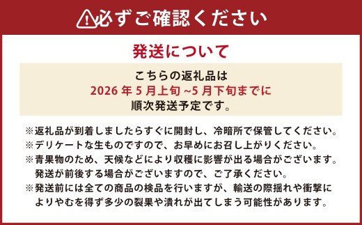 熊本県産 小玉すいか 1玉 1.5kg以上 【2026年5月上旬発送開始】 すいか スイカ 西瓜 くだもの 果物 フルーツ 国産