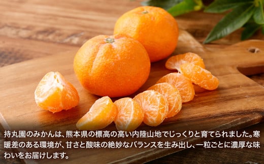 熊本県産 持丸ミカン 約3キロ 【2025年11月下旬発送開始】 蜜柑 みかん ミカン 柑橘 フルーツ くだもの 果物 国産