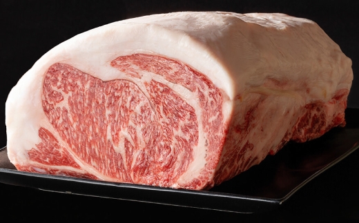 菊池のブランド牛延寿牛ハンバーグ 10個 ・ローストビーフ 1個 セット 延寿牛 牛 牛肉 肉 にく ニク ヘルシー 赤身 国産 熊本県産 ハンバーグ ローストビーフ セット モモ モモ肉