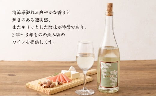 熊本宇城で育ったシャインマスカットを使った 「シャインマスカットワイン」 750ml×1本 ワイン 白ワイン シャインマスカット マスカット 辛口ワイン 辛口 シャルドネ 国産ワイン 九州 熊本県 常温