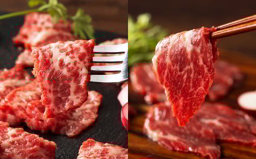 馬刺しと球磨焼酎の熊本特産マリアージュ10種セット 馬 馬肉 焼酎 馬刺 九州 熊本