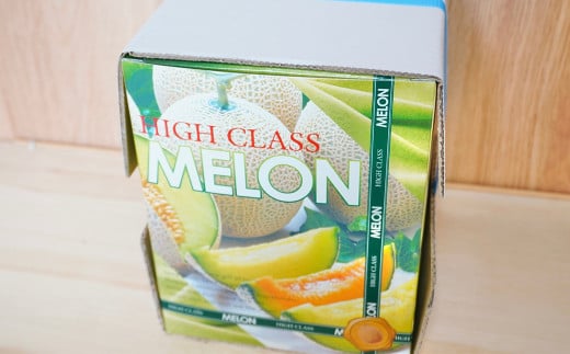 【生産者直送】☆秋作☆ マスクメロン 1玉 合計約1.6kg以上 【2025年10月下旬発送開始】 フルーツ くだもの 果物 メロン めろん 熊本県産