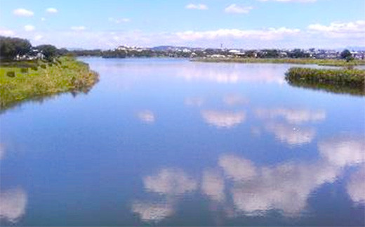 い・ろ・は・す（いろはす） 阿蘇の天然水 540ml×1ケース 計24本