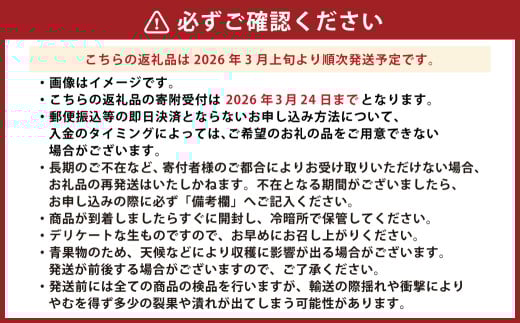 熊本県産 デコポン 約5kg 蜜柑 みかん 柑橘 果物 くだもの フルーツ 【2026年3月上旬発送開始】