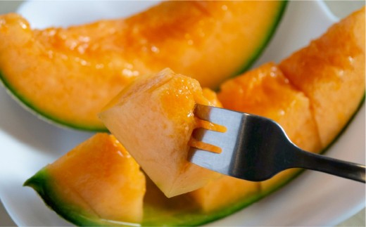 赤玉レノンスター 2玉【2026年5月下旬発送開始】 メロン フルーツ くだもの 果物 熊本県産 国産