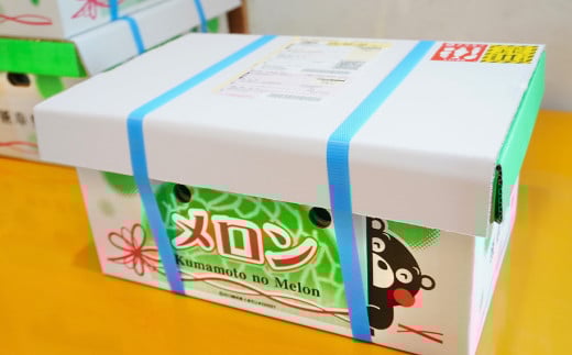 【生産者直送】☆夏作☆ マスクメロン 2玉 合計約3.2kg以上 【2025年7月上旬発送開始】 フルーツ くだもの 果物 メロン めろん 熊本県産