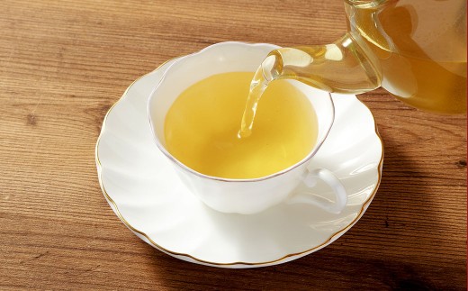 熊本県産 モリンガティー 40包 ／ モリンガ茶 モリンガ ティー お茶 茶 健康茶