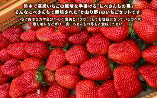 にべさんちの苺 熊本県産イチゴかおり野 約520g【2025年12月上旬発送開始】 苺 いちご フルーツ 果物 熊本