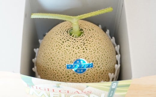 【生産者直送】☆夏作☆ マスクメロン 1玉 約1.6kg以上 【2026年7月上旬発送開始】 フルーツ くだもの 果物 メロン めろん 熊本県産