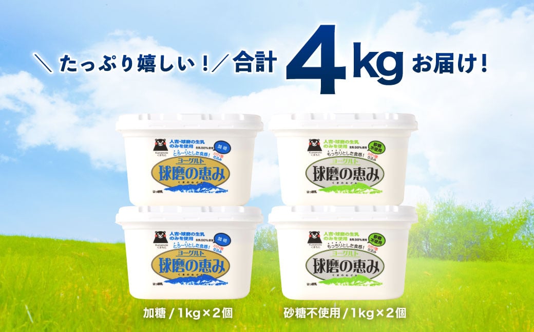 球磨の恵み ヨーグルト セット 計4000g（加糖・砂糖不使用）1000g×各2個セット 乳製品 生乳 朝食 おやつ ヘルシー