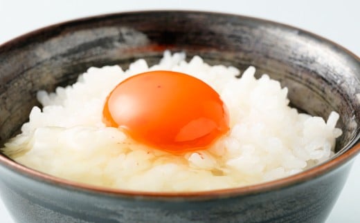 熊本県天草市で生まれたブランド卵「天草タマンゴ」10個入 化粧箱入 卵 たまご タマゴ 生卵 生たまご 卵黄 卵 熊本県 天草市