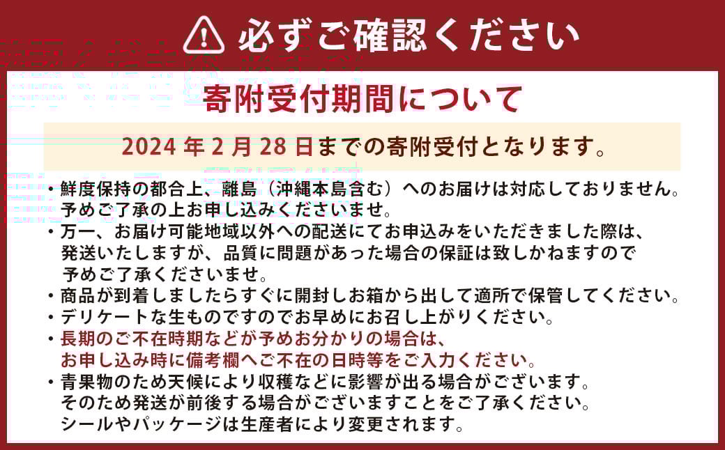 【2024年1月下旬発送開始】熊本県産 高級塩トマト「綾」1キロ前後