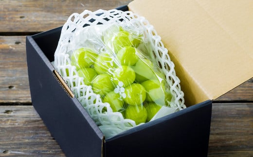 シャインマスカット2房 合計約1.2kg ぶどう ブドウ 葡萄 果物 くだもの フルーツ 【2026年8月下旬発送開始】