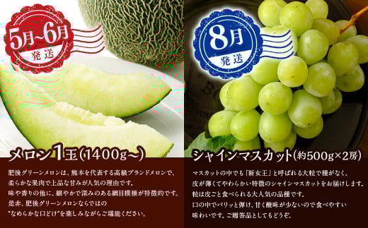 【年６回定期便】熊本県果物定期便 採れたて旬の果物をお届け！