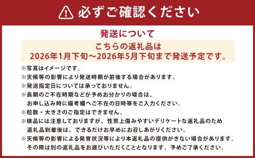 太陽の恵みを閉じ込めた真っ赤な大玉トマト2kg（熊本県産） 【2026年1月下旬発送開始】 甘い 真っ赤 野菜 やさい 爽やか フルーツトマト とまと 国産 常温