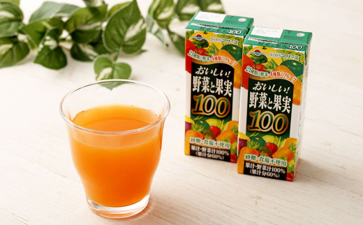 【6か月連続定期便】おいしい野菜と果実 200ml×12本×6回 合計72本 合計14.4L 果汁100% 野菜 果実 フルーツ ジュース フルーツジュース 常温 飲料 熊本県 らくのうマザーズ